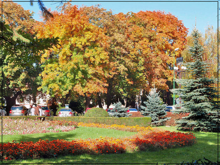 Цветная осень (Девичий альбом) Румыния