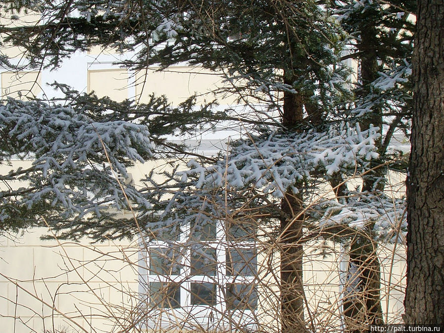Снег, март — владивостокская весна Владивосток, Россия