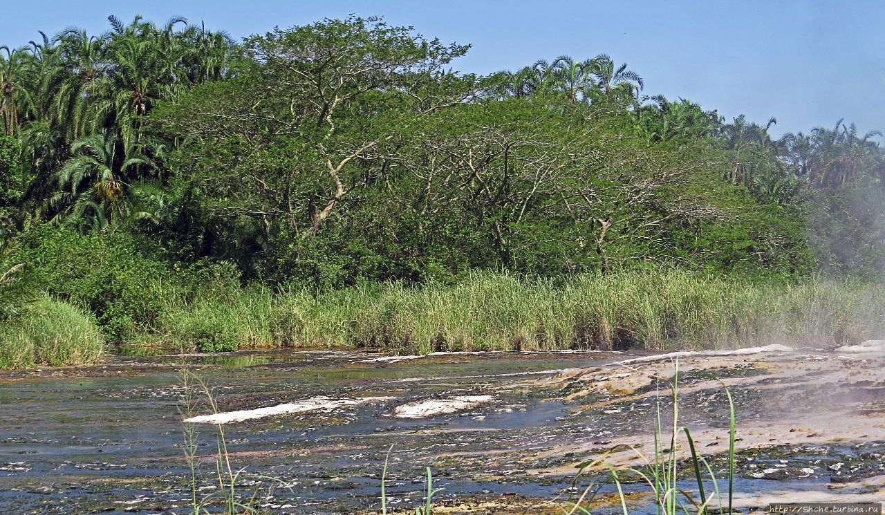 Горячий источник Ньянсимбе (мужской бассейн) Семулики Национальный Парк, Уганда