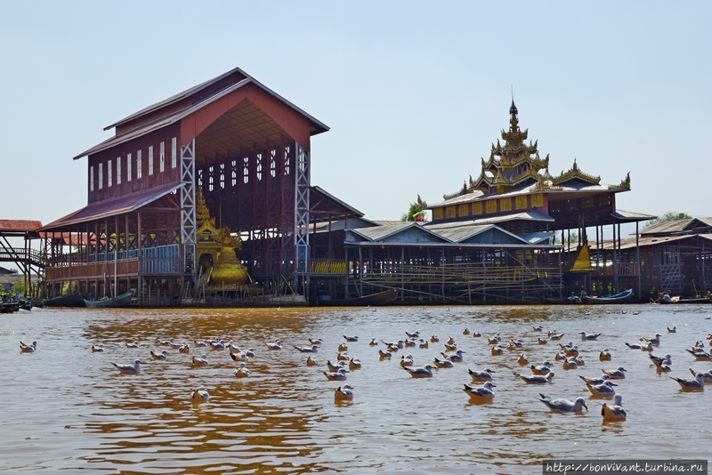 Пагода Пхаунг До У Озеро Инле, Мьянма