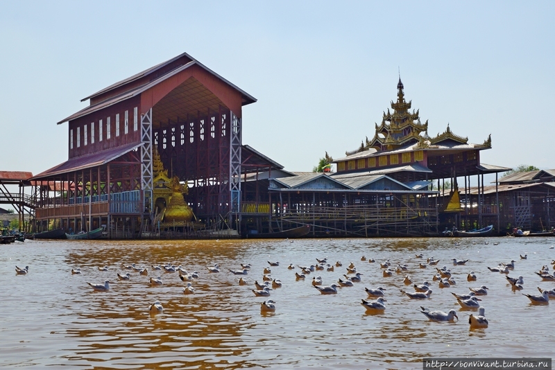 Пагода Пхаунг До У