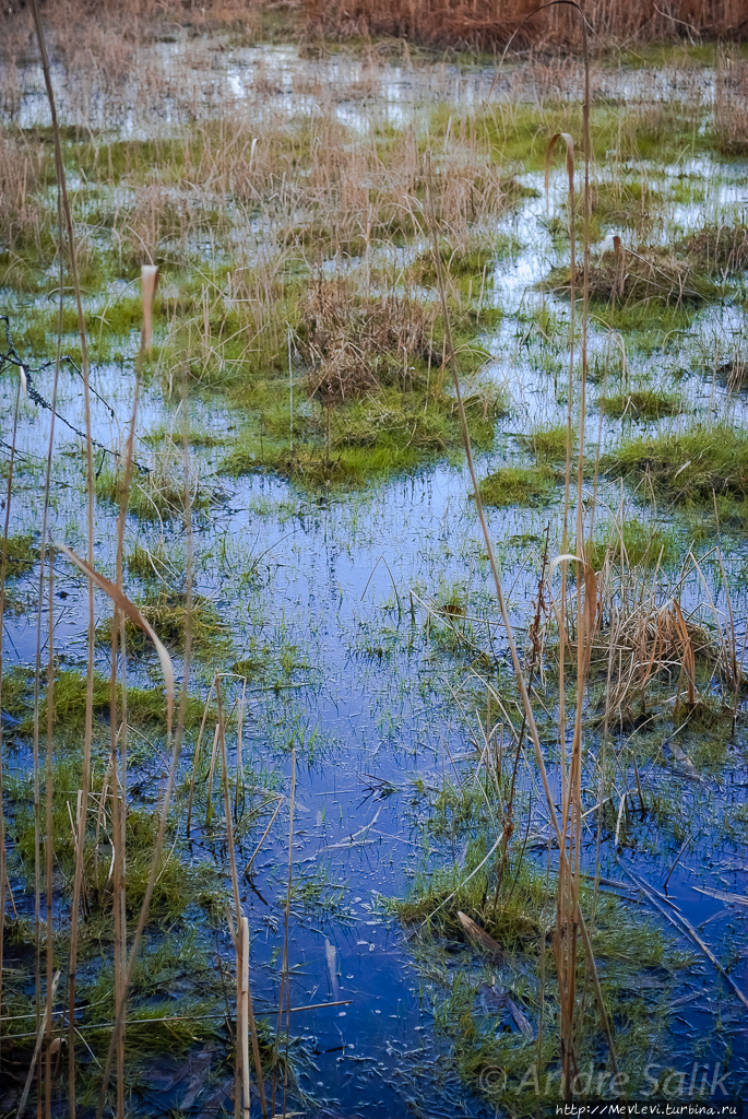 Озеро Слокас Кемери, Латвия