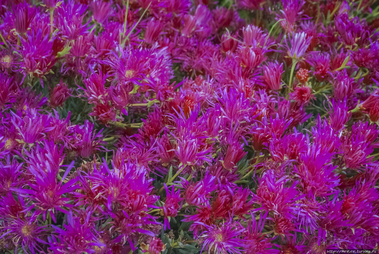 В мае на море Ситжес, Испания