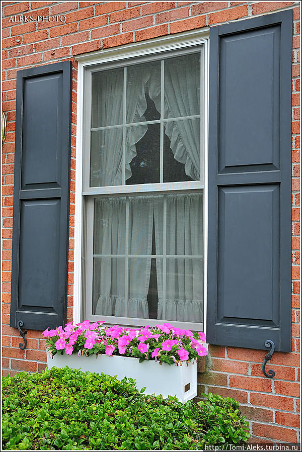 А приятно жить — с цветами...
*