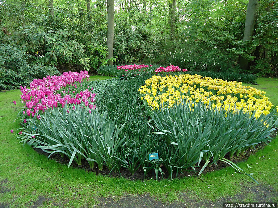 Цветочный рай для милых дам Кёкенхоф, Нидерланды