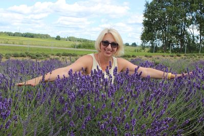 Просто море лаванды.