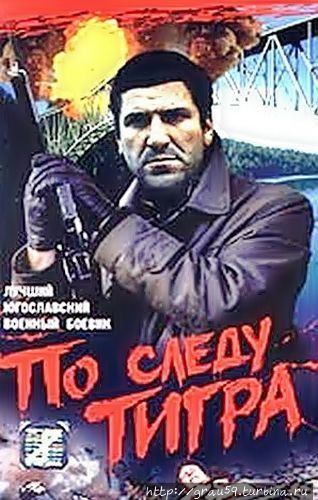 (Из Интернета)