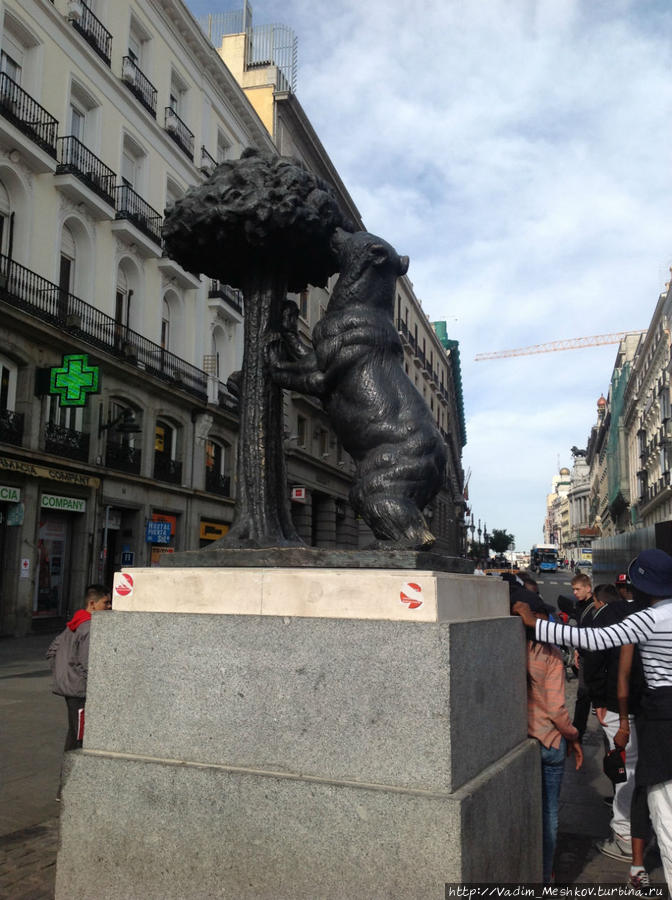 Символ Мадрида — Медведь и земляничное дерево Мадрид, Испания
