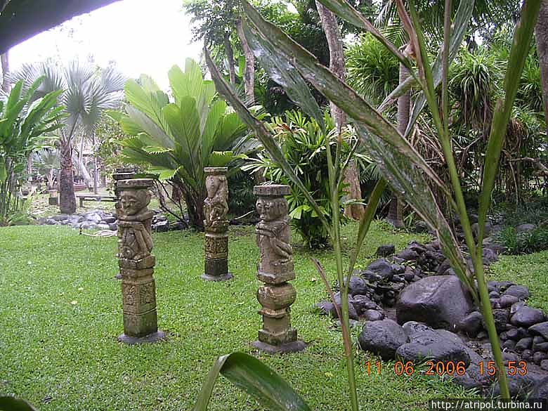 Чудо в перьях. Живность острова Бали Нуса-Дуа, Индонезия