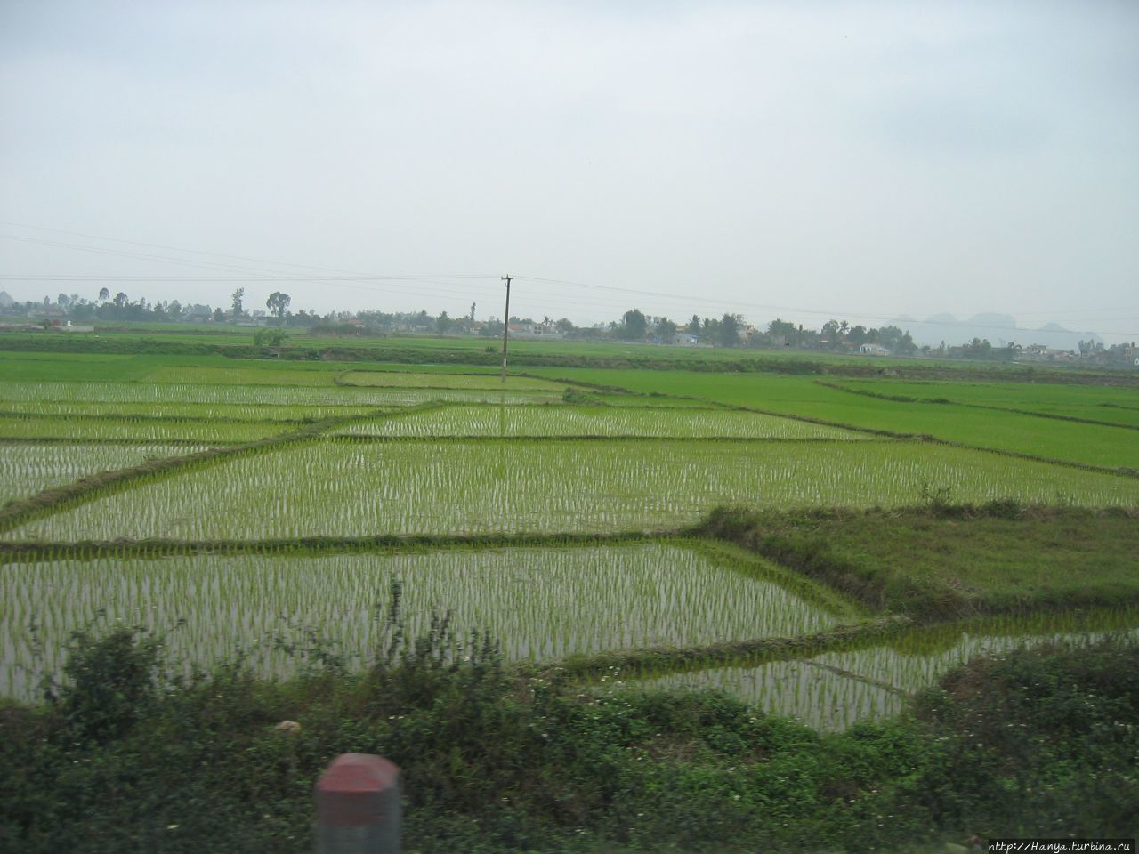 Распаханные поля Сверного Вьетнама Ханой, Вьетнам