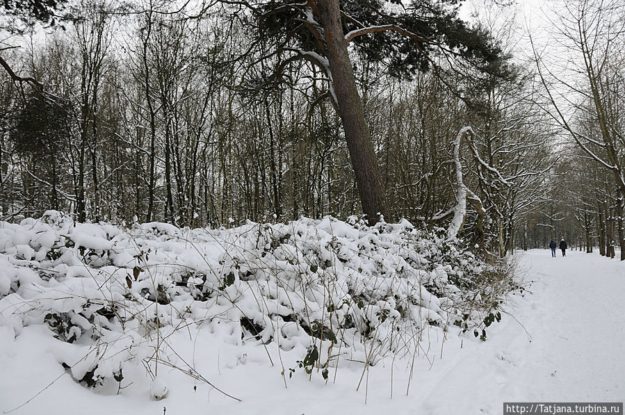 Когда в Голландии жизнь замирает ? Брюнссум, Нидерланды