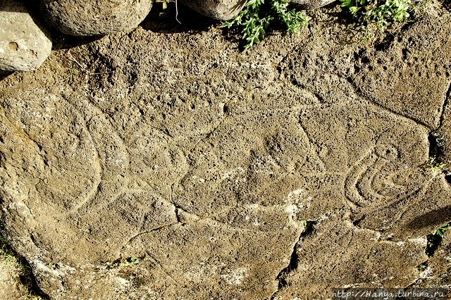 Из интернета