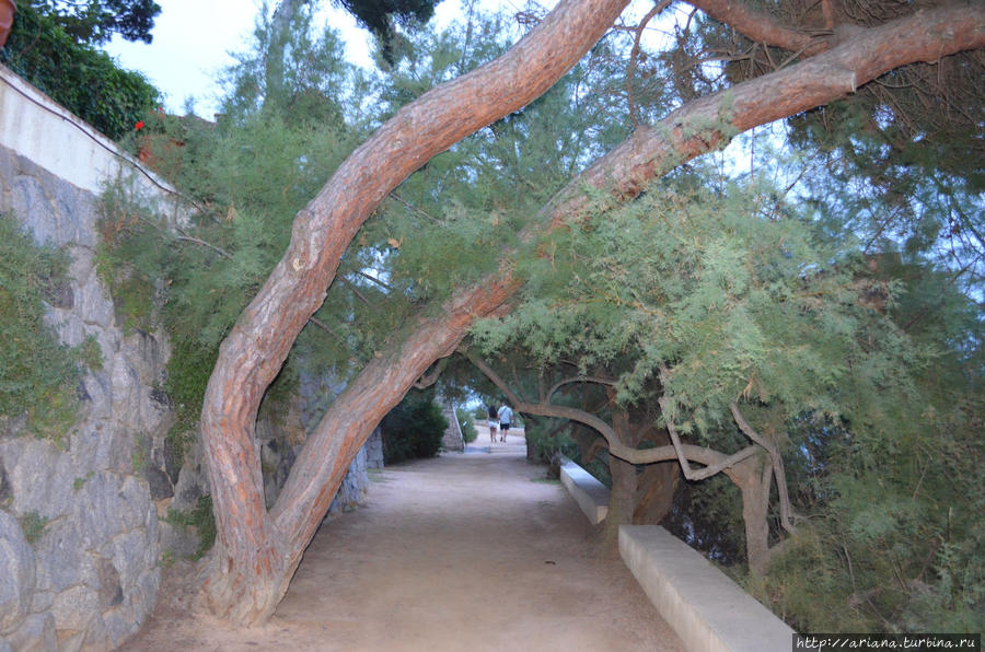 Русские в С`Агаро. Тропа Camino de ronda С'Агаро, Испания