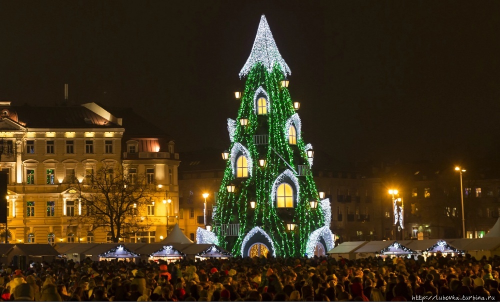 фото из инета. Новогодняя ель 2015/16 Вильнюс, Литва