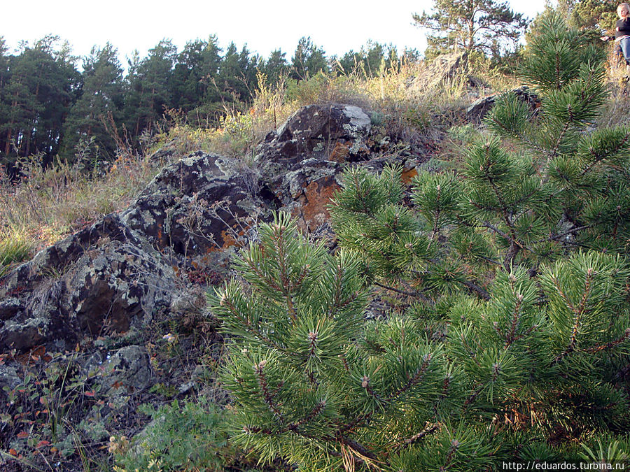 Пикник над Енисеем Красноярск, Россия
