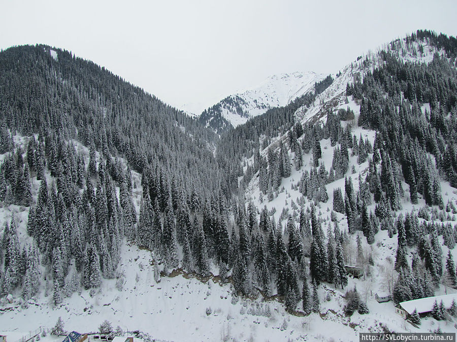 Вид из гандолы канатной дороги