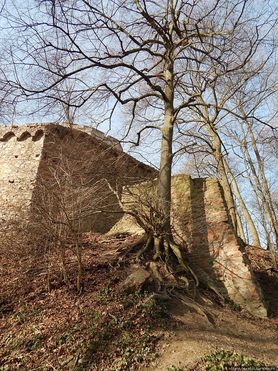 Замок Ауербах Бенсхайм, Германия