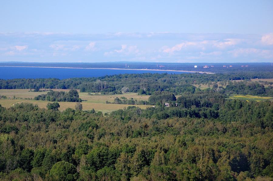 Вид на море, лес и Усть-Нарву Синимяэ, Эстония