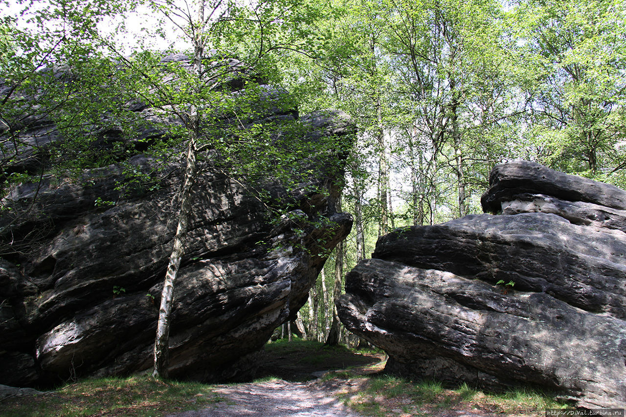 Устецкий край Чехии. В лабиринте Тиских скал. 2010 год Чешская Швейцария Национальный Парк, Чехия