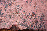 Фото растительного рисунка на Синайском камне в монастыре Святой Екатерины.Это уже камень размером 40х50.