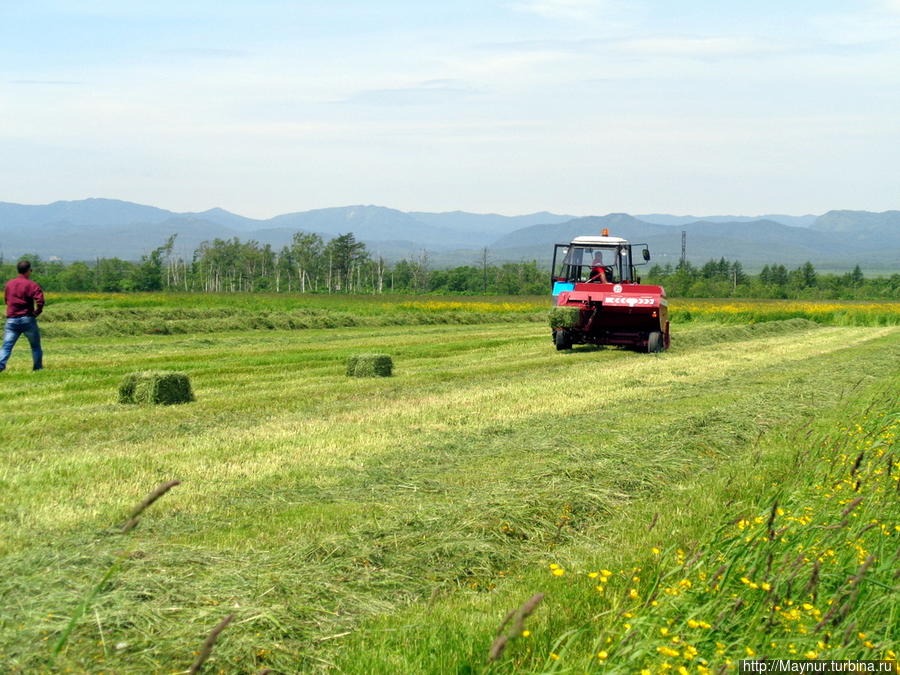 Этот  упаковочный  агрегат  в  народе  называют  автомат  Калашникова  за  его  простоту    и  скорость  в  работе. Южно-Сахалинск, Россия