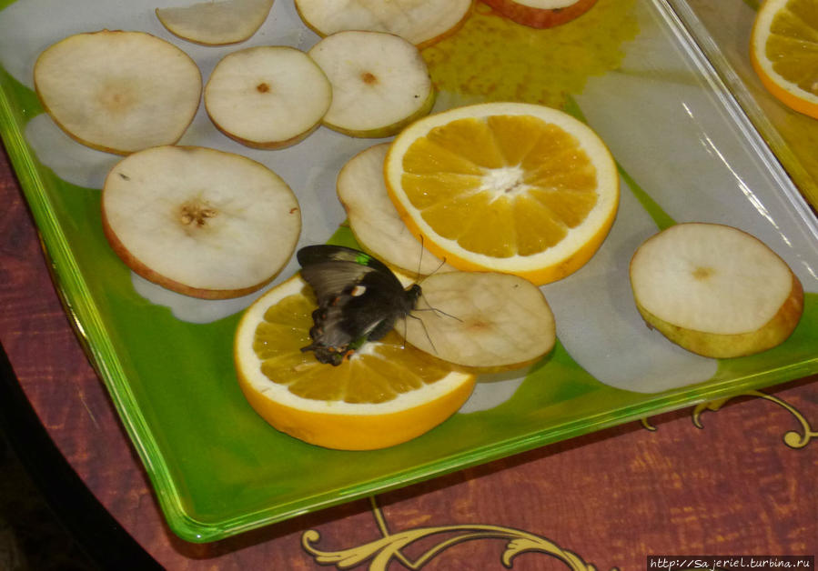 Арбат-16 Москва, Россия