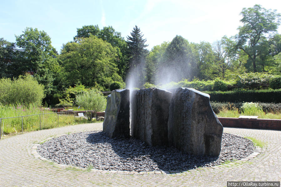 Ботанический сад  Берлин — Далем / Botanischer Garten Berlin-Dahlem