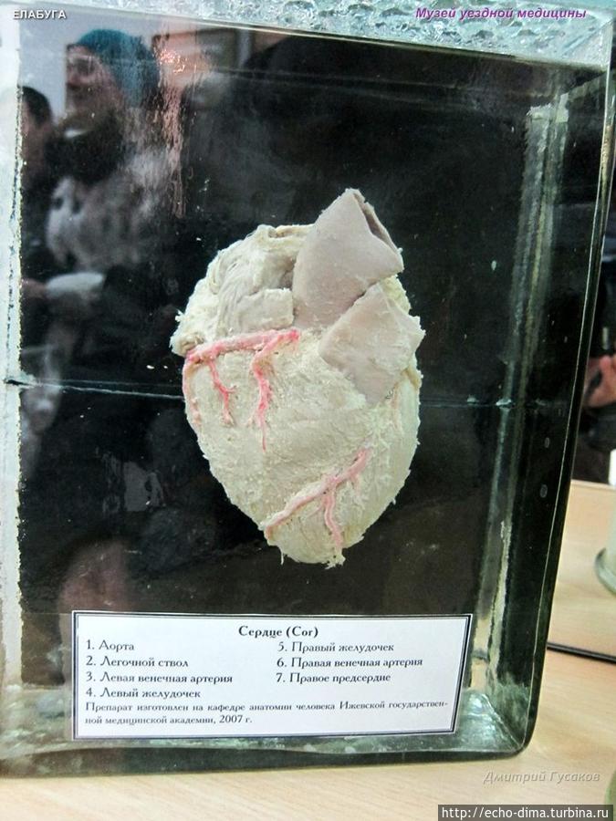 ЕЛАБУГА — ГОРОД МУЗЕЙ Елабуга, Россия