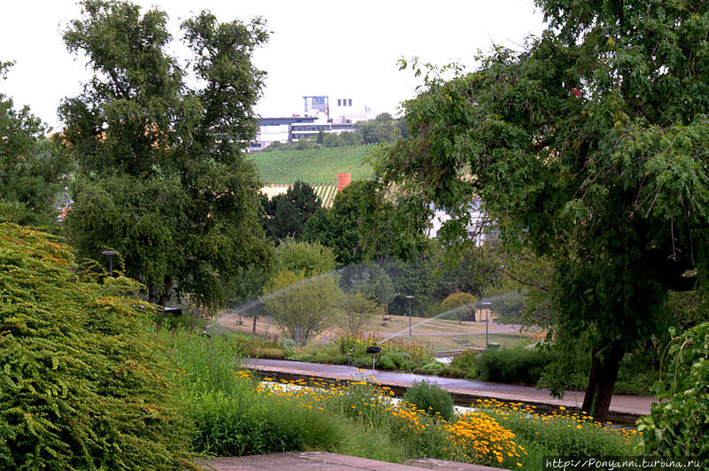 Штуттгартский парк Киллесберг — яркие краски лета Штутгарт, Германия