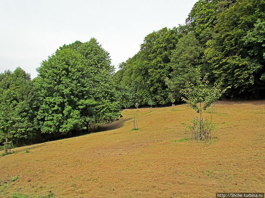От Драхенфельса к Драхенбургу пешком. Сюрприз в лесу Кёнигсвинтер, Германия