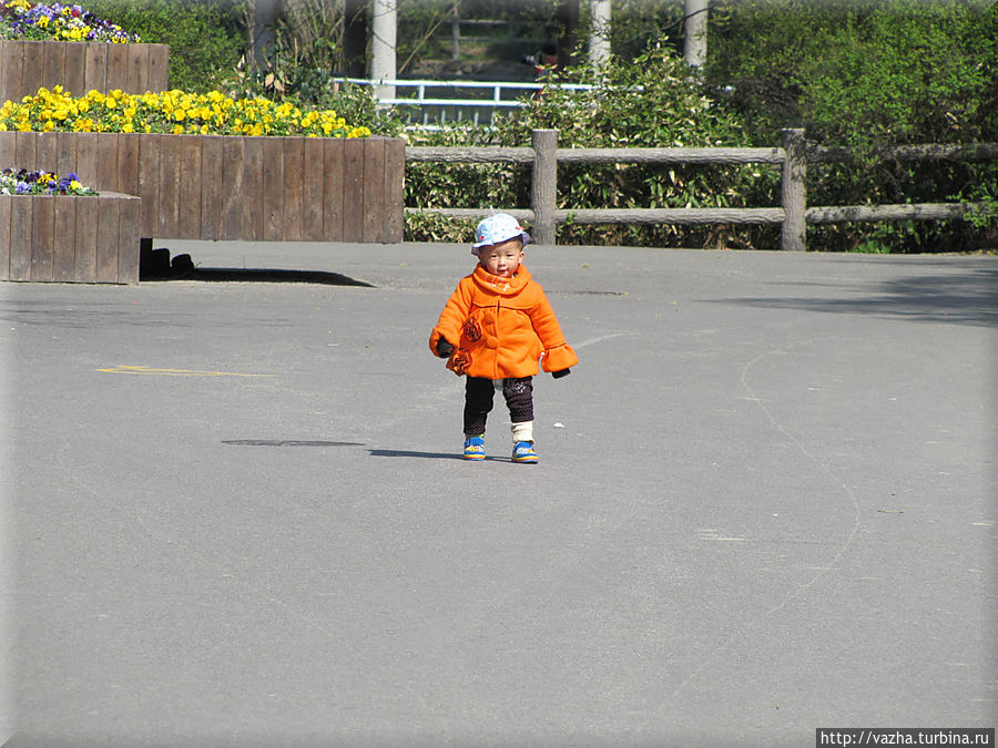 Маленький посетитель зоопарка Шанхай, Китай