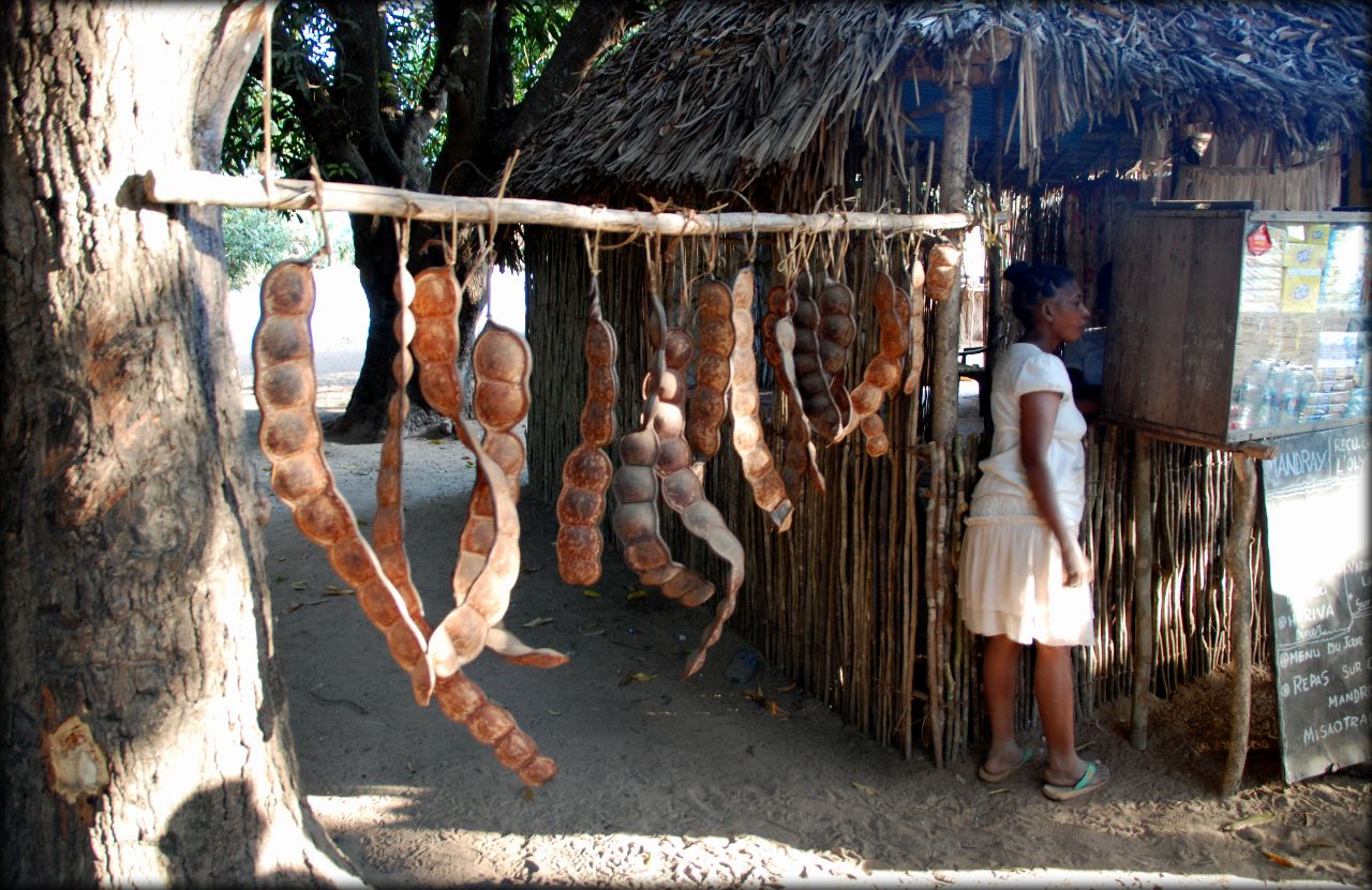 Мадагаскарские хроники — переправа Manambolo Белу-Цирибихина, Мадагаскар