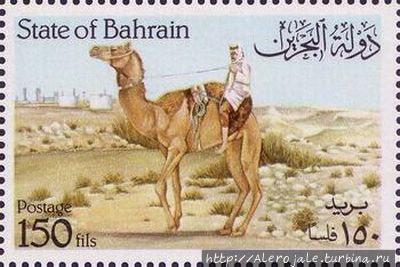 Бахрейн — идем навстречу верблюдам Мадинат-Иса, Бахрейн