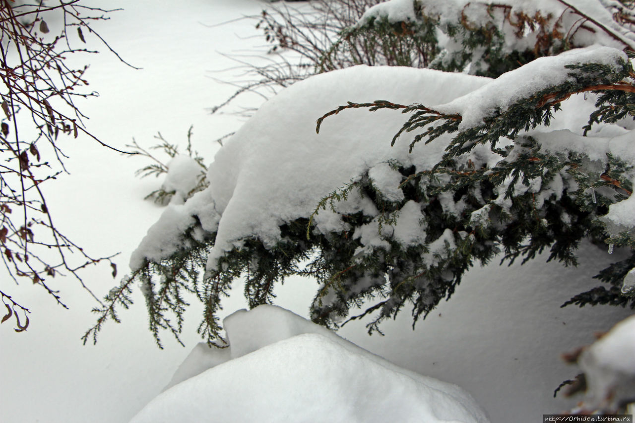 Намело сугробы белые Харьковская область, Украина
