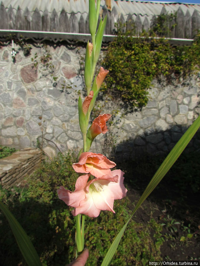 Теплое настроение Харьковская область, Украина