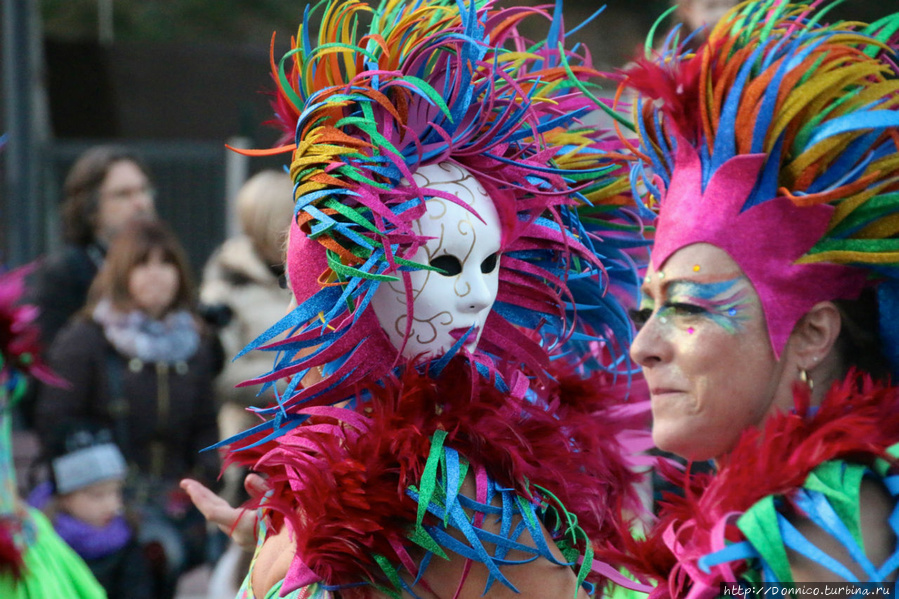 Tilburg carnaval 2015 torrent zeds dead holiday mix torrent