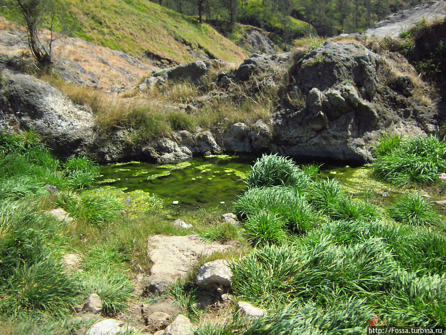 Трек на вулкан Rinjani Остров Ломбок, Индонезия