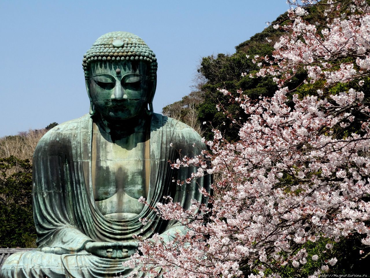 будда в японии