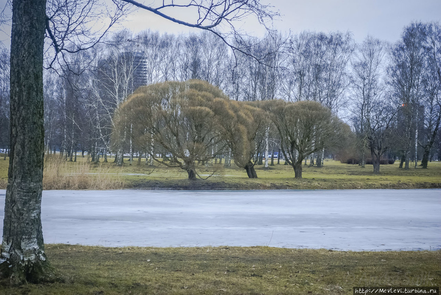 В марте в парке Аркадия Рига, Латвия