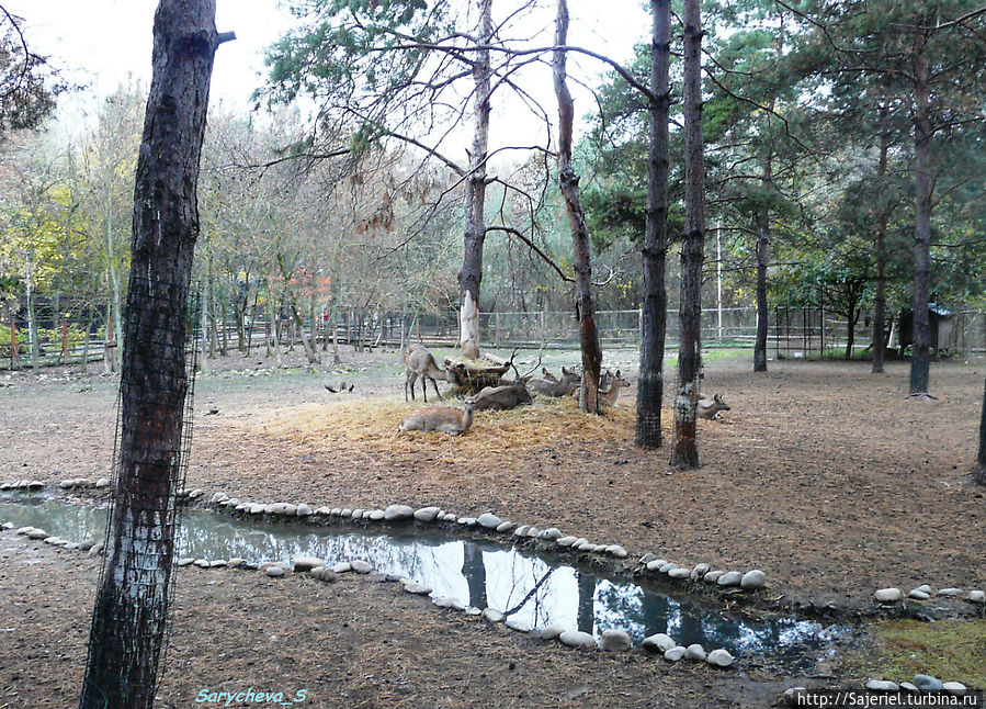 Сафари-парк Краснодар, Россия