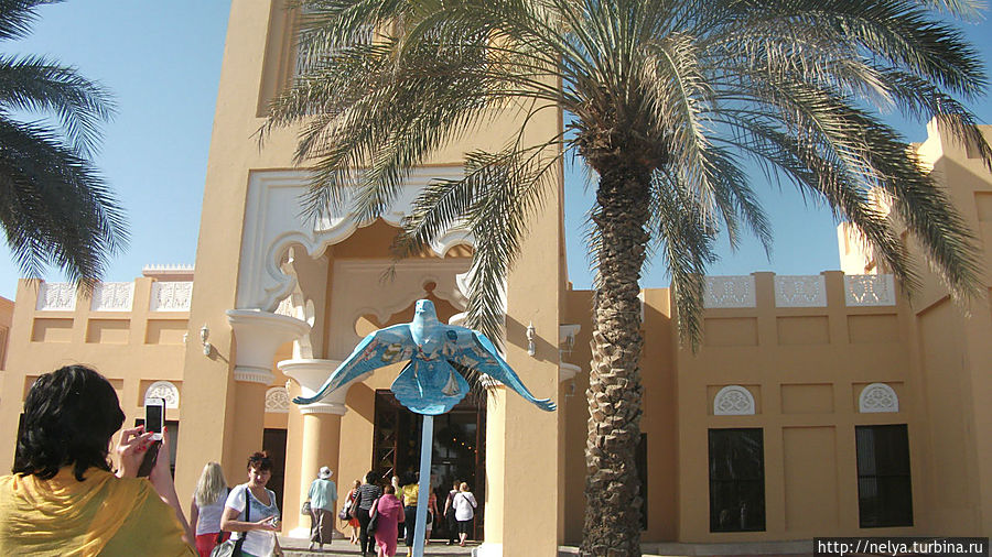 Соколиный центр Дубай, ОАЭ