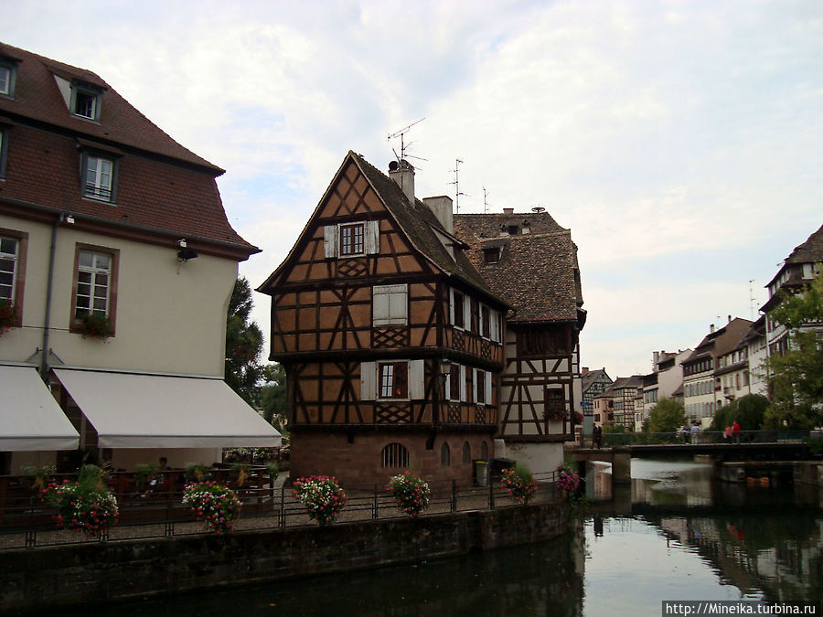 Незнайка в Цветочном городе Страсбург, Франция
