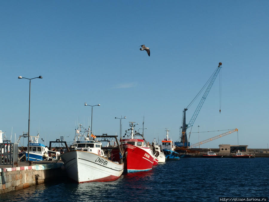Фамилия обязывает: путешествие к маяку и рыбацкий порт Паламос, Испания