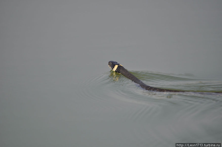Просто природный выходной Тульская область, Россия
