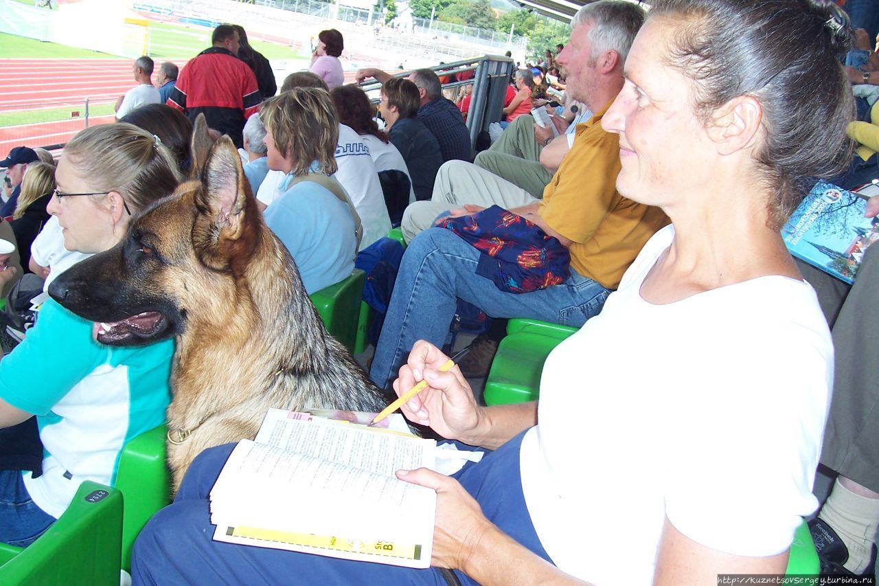 Снова Ульм, снова Зигер! Ульм, Германия