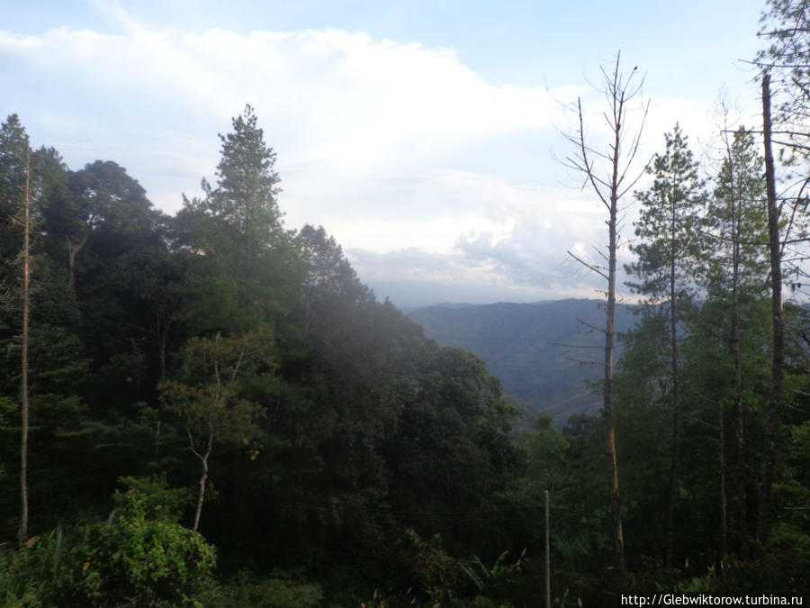 Прогулка у входа в национальный парк Гора Кинабалу Национальный Парк (4095м), Малайзия
