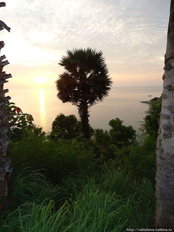 И хотя вечер был пасмурным, закат всё равно удАлся)