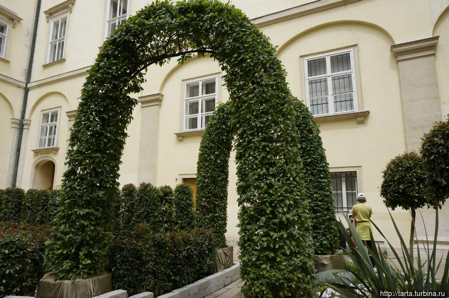 Вена, утопающая в зелени садов и в благоухании роз. Вена, Австрия