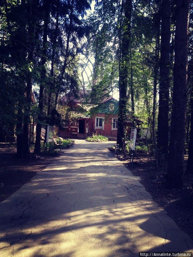 Новости