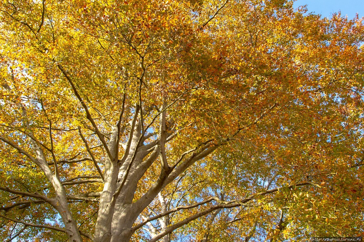 Париж 2018 — Версаль Париж, Франция